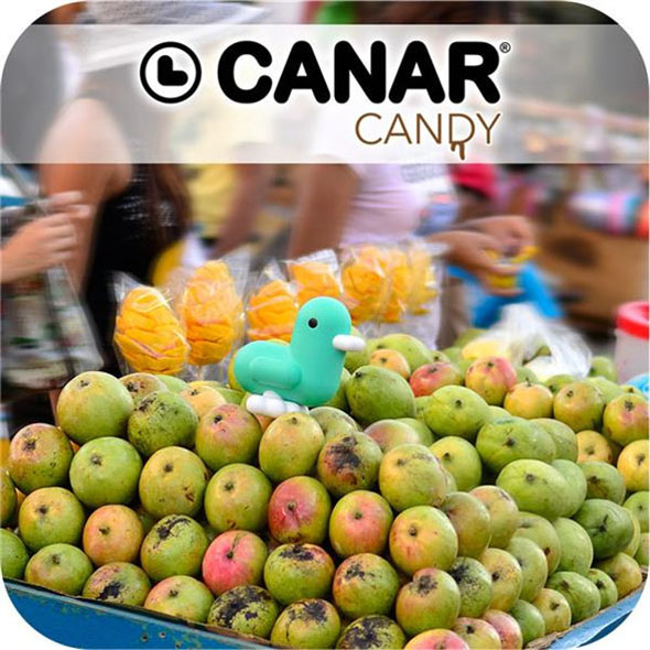 Canar CANDY 16cm Banker