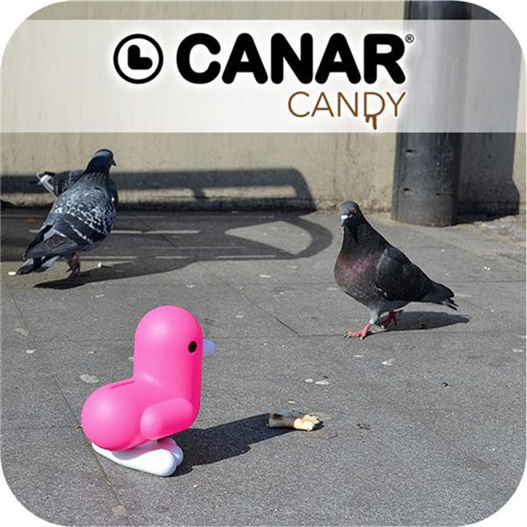 Canar CANDY 16cm Banker